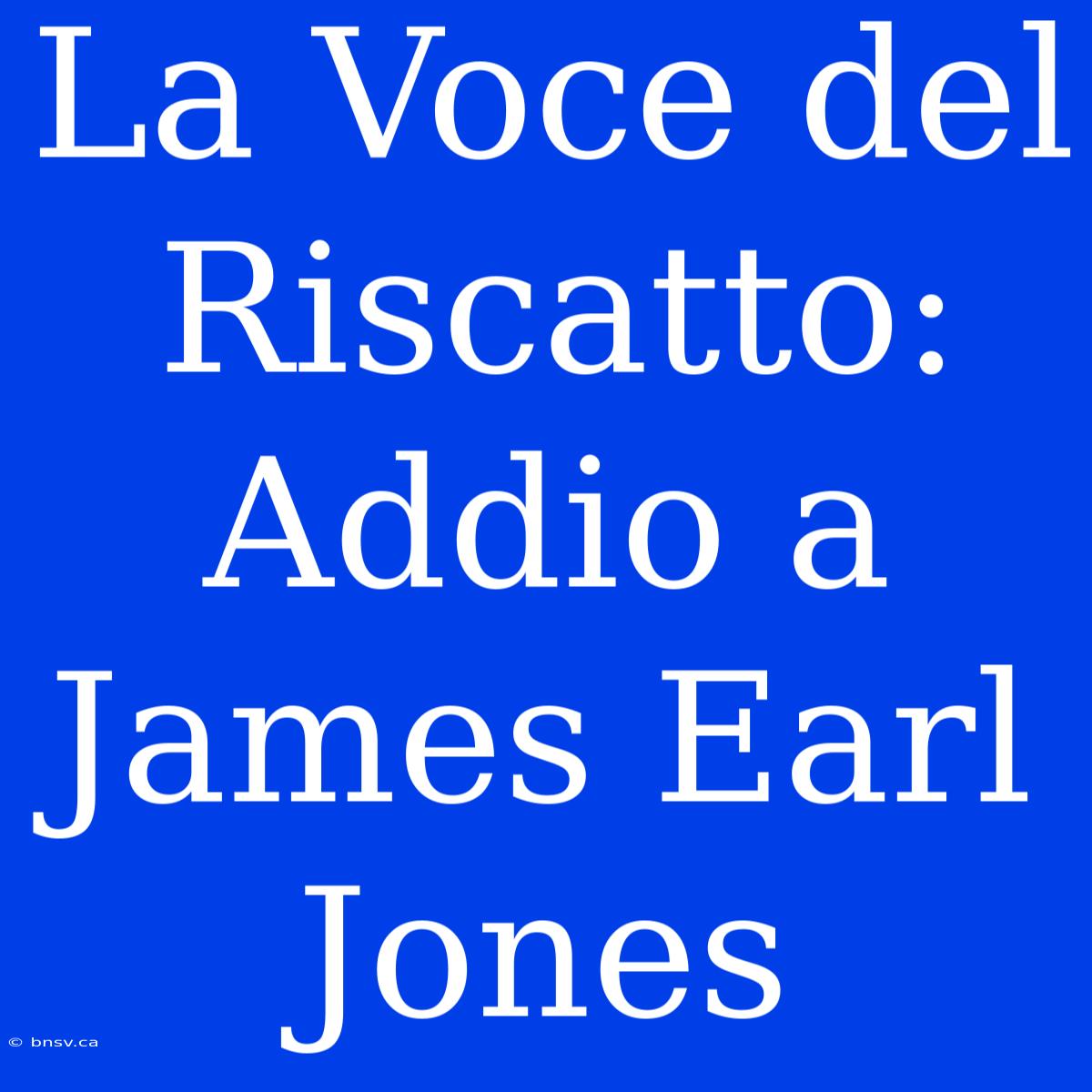 La Voce Del Riscatto: Addio A James Earl Jones