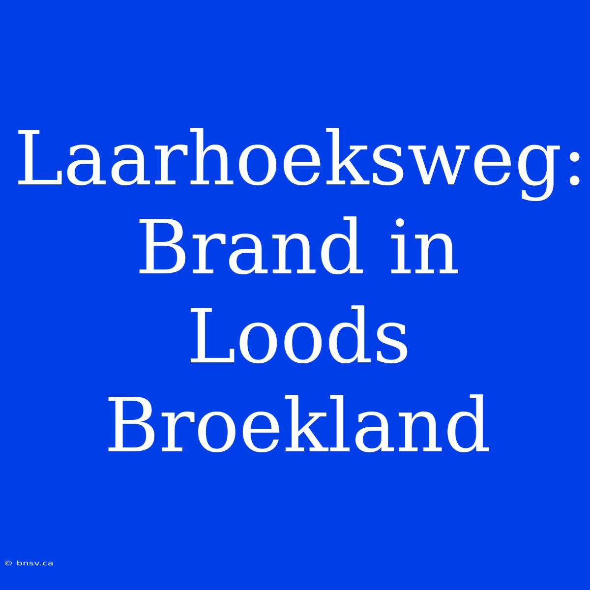 Laarhoeksweg: Brand In Loods Broekland