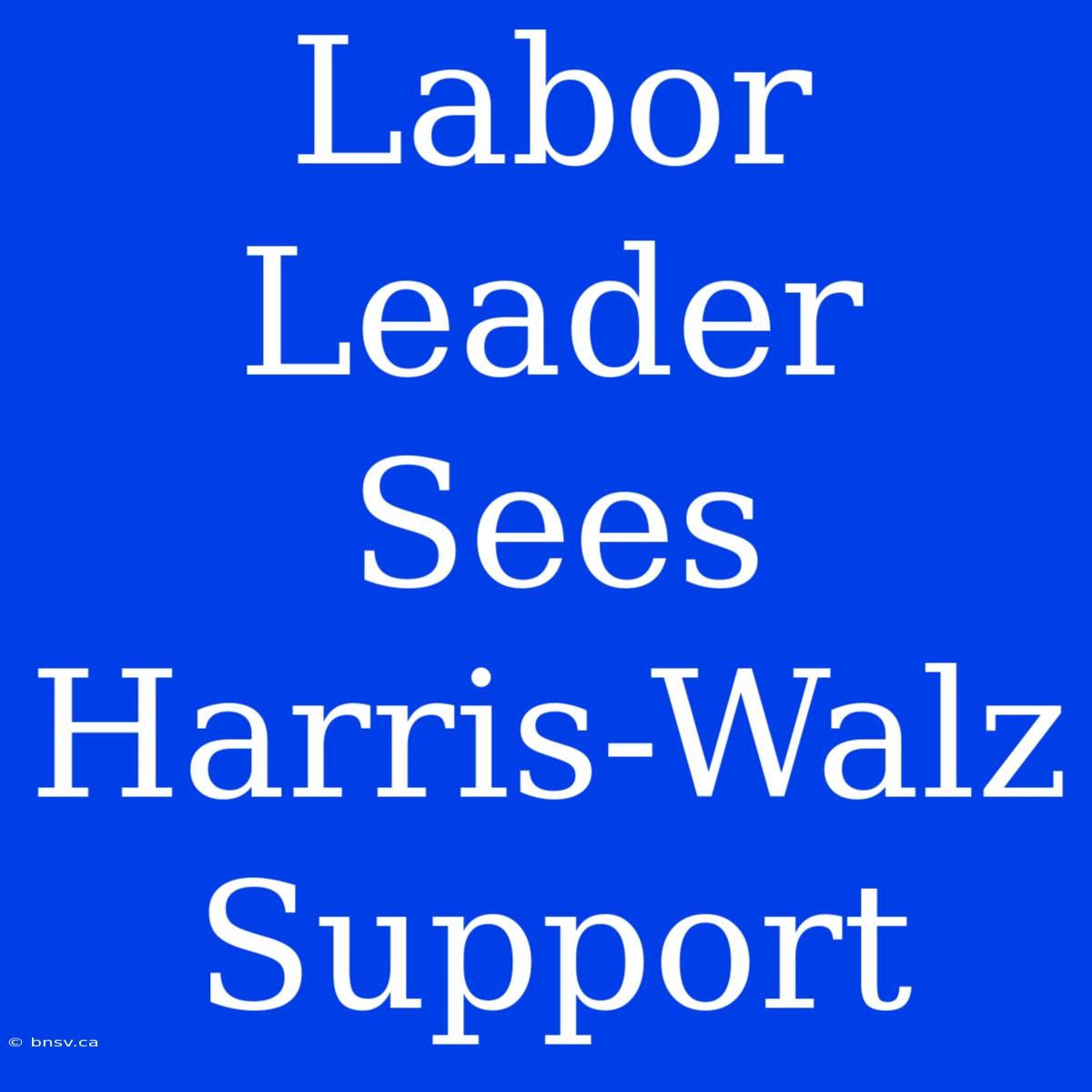 Labor Leader Sees Harris-Walz Support