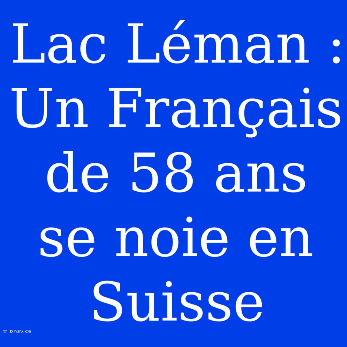 Lac Léman : Un Français De 58 Ans Se Noie En Suisse