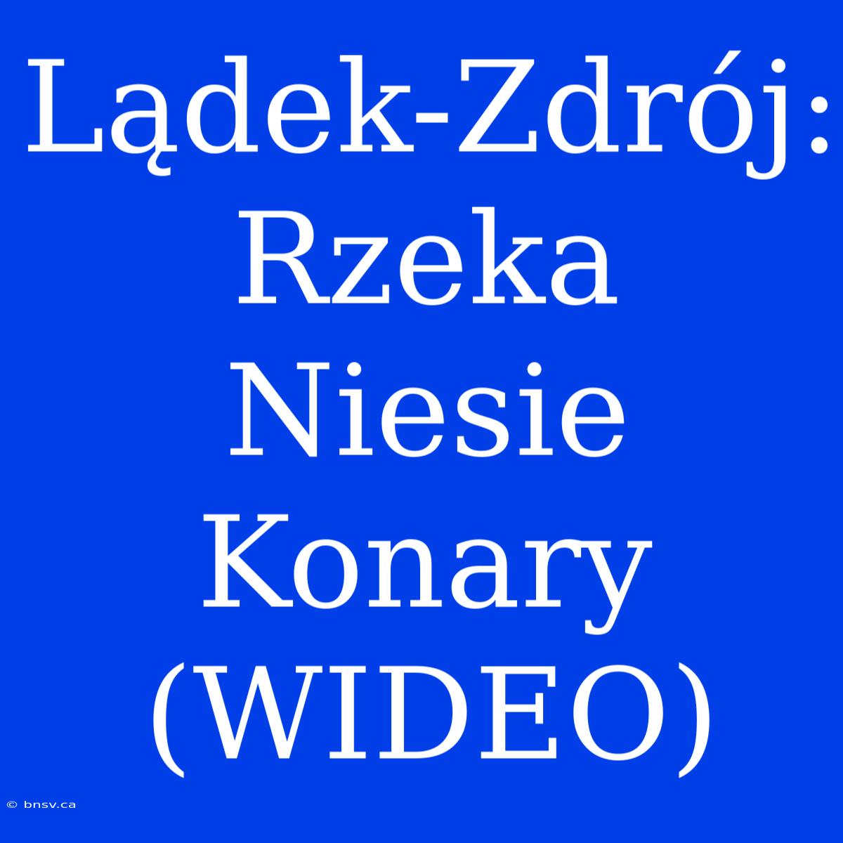 Lądek-Zdrój: Rzeka Niesie Konary (WIDEO)