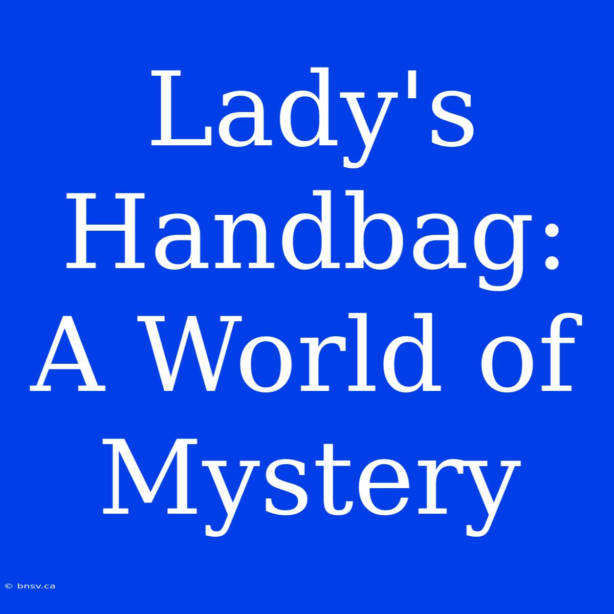 Lady's Handbag: A World Of Mystery