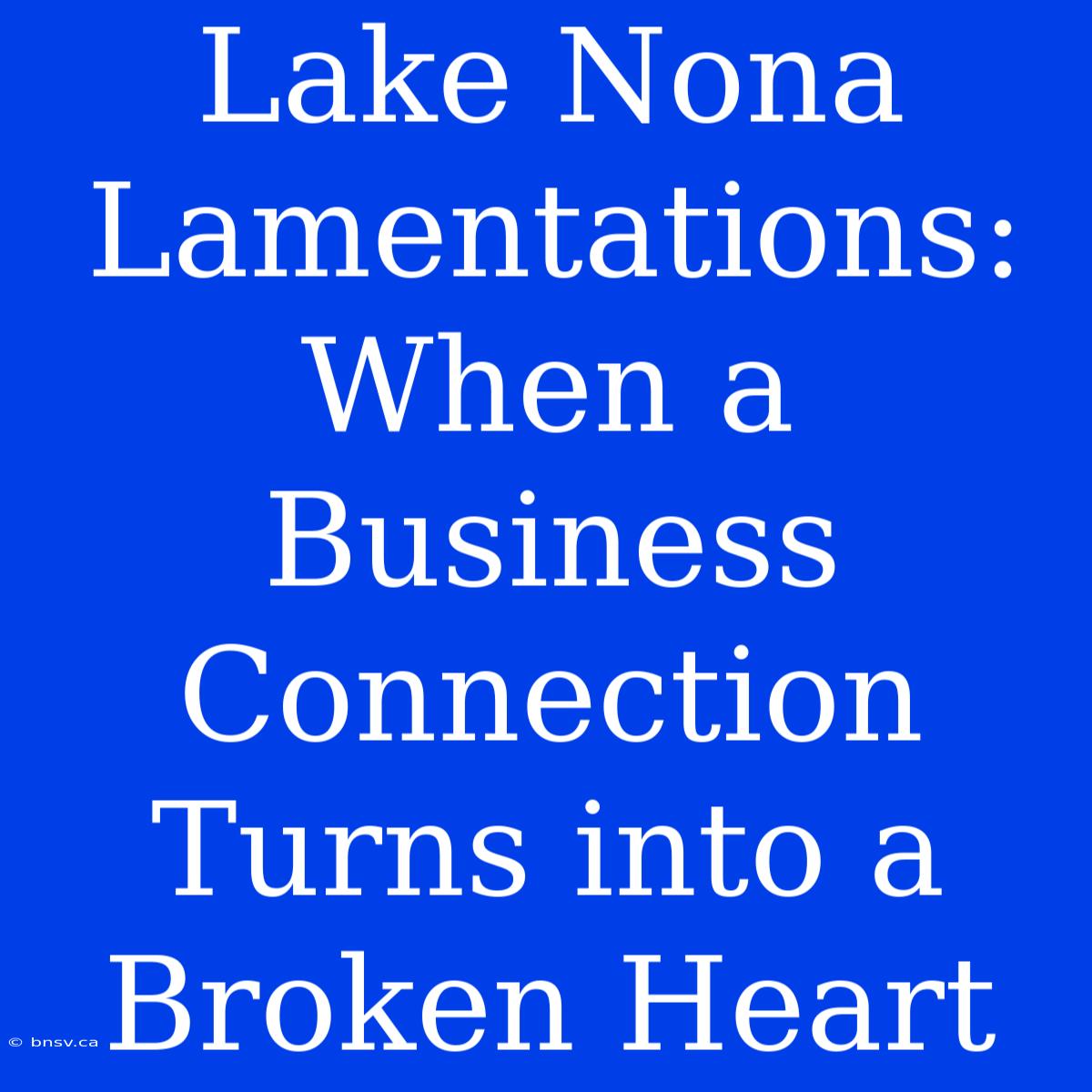 Lake Nona Lamentations: When A Business Connection Turns Into A Broken Heart