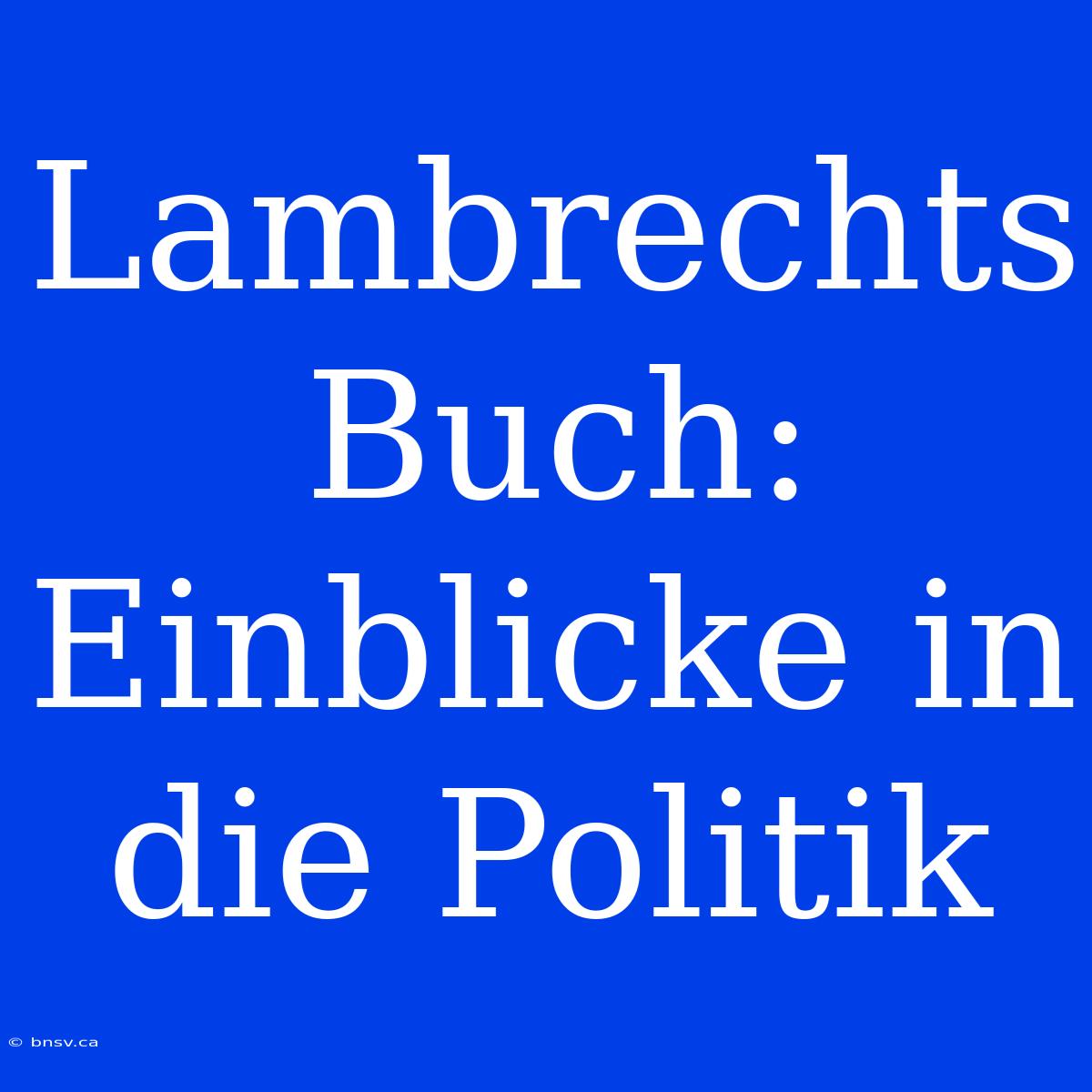 Lambrechts Buch: Einblicke In Die Politik