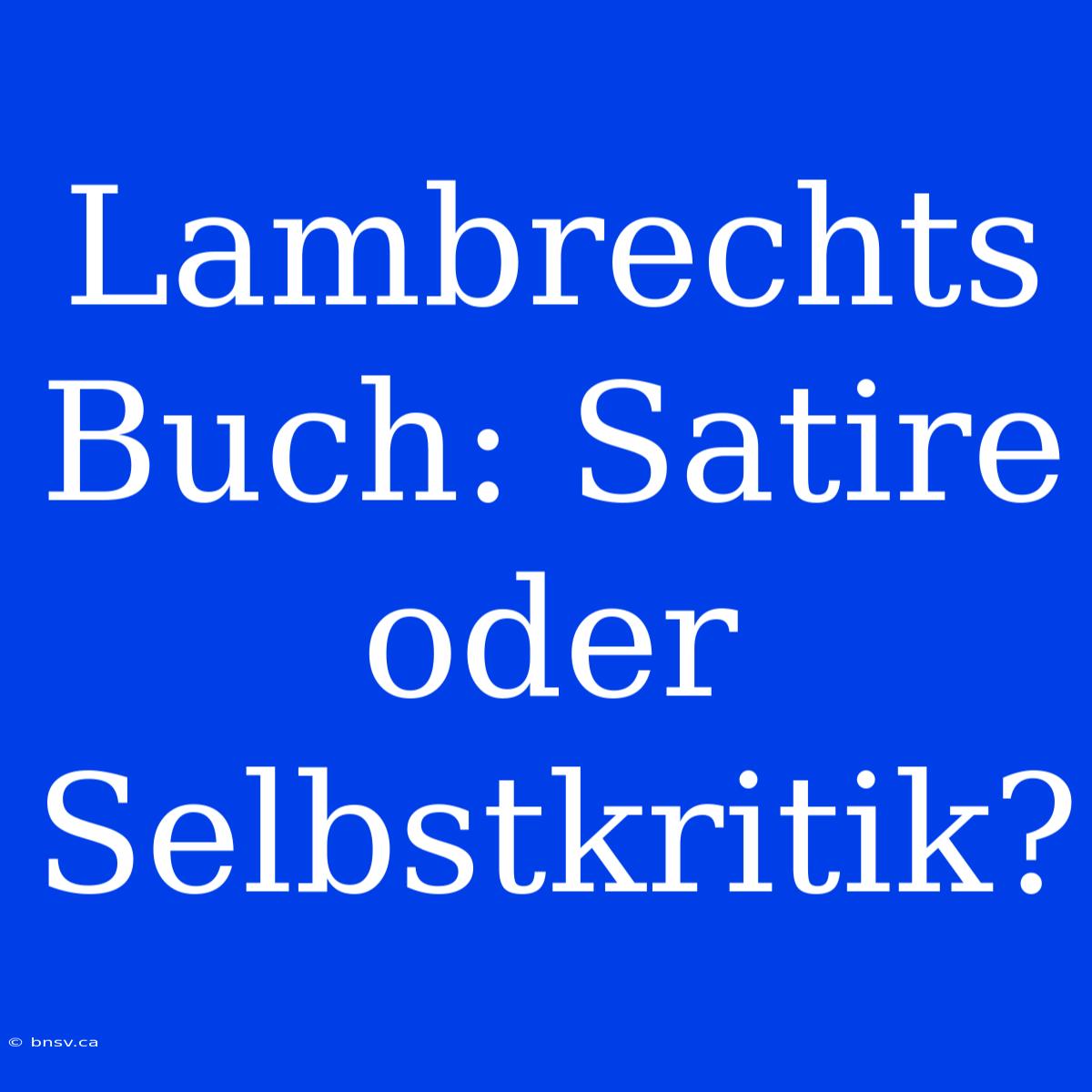 Lambrechts Buch: Satire Oder Selbstkritik?