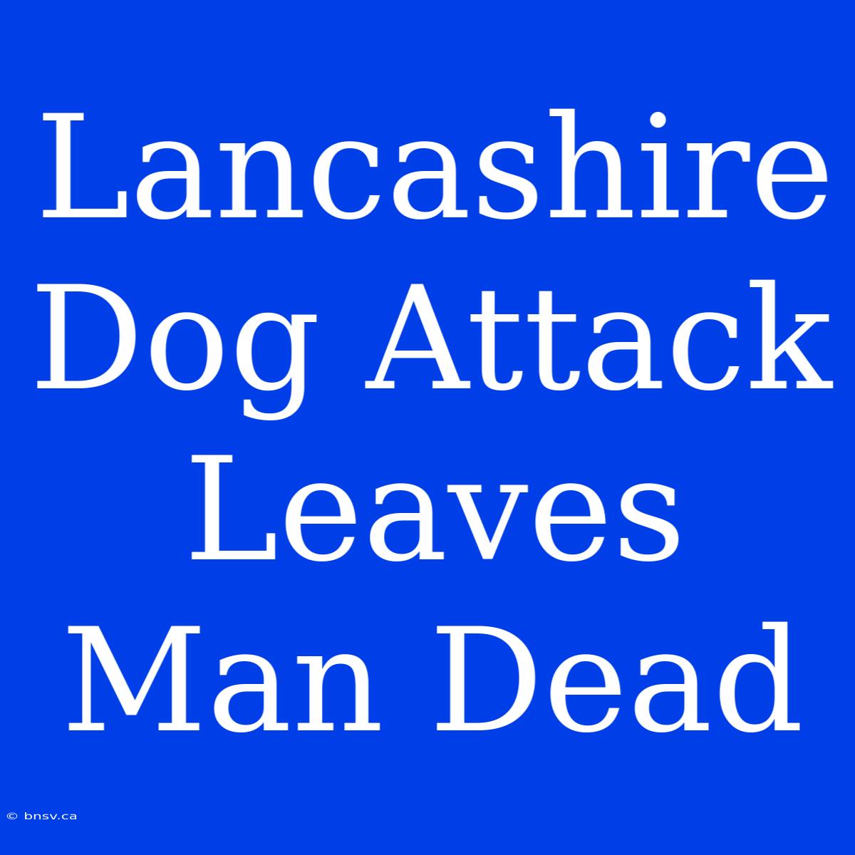 Lancashire Dog Attack Leaves Man Dead