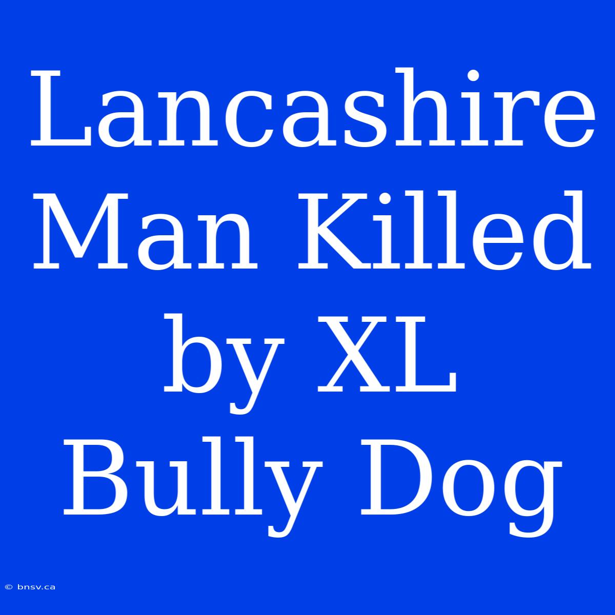 Lancashire Man Killed By XL Bully Dog