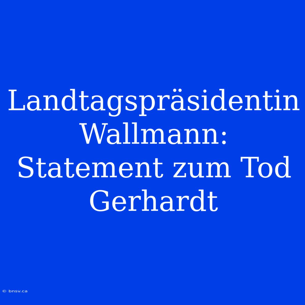 Landtagspräsidentin Wallmann: Statement Zum Tod Gerhardt