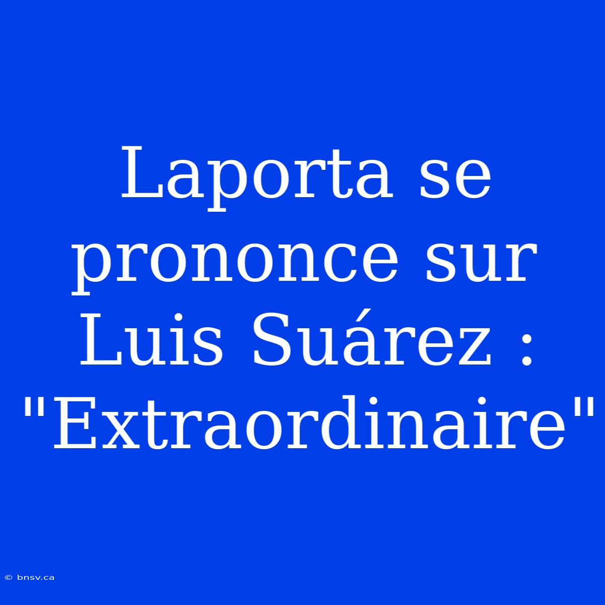 Laporta Se Prononce Sur Luis Suárez : 