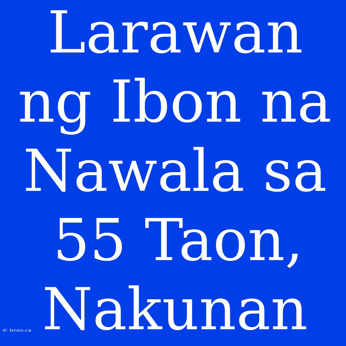 Larawan Ng Ibon Na Nawala Sa 55 Taon, Nakunan