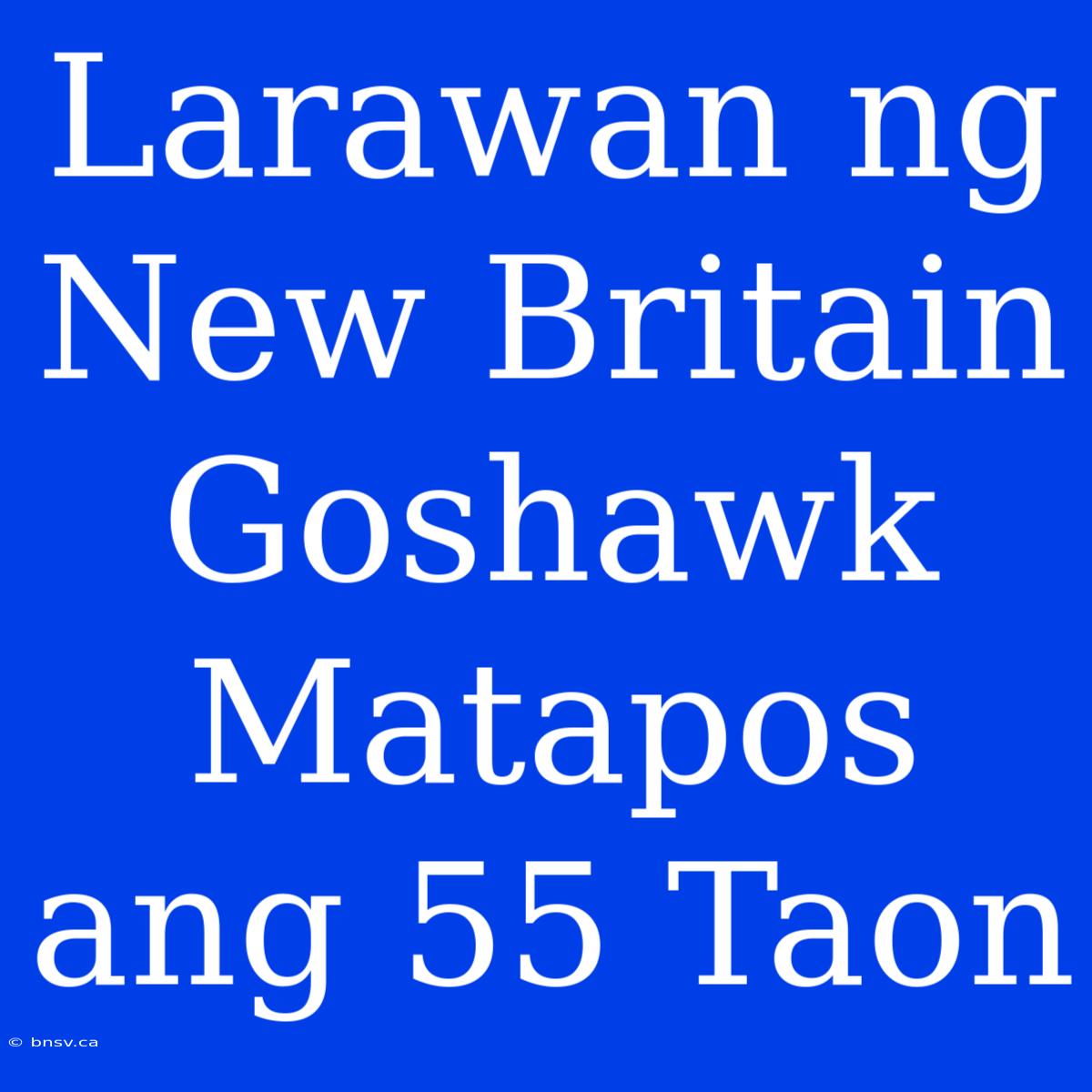 Larawan Ng New Britain Goshawk Matapos Ang 55 Taon