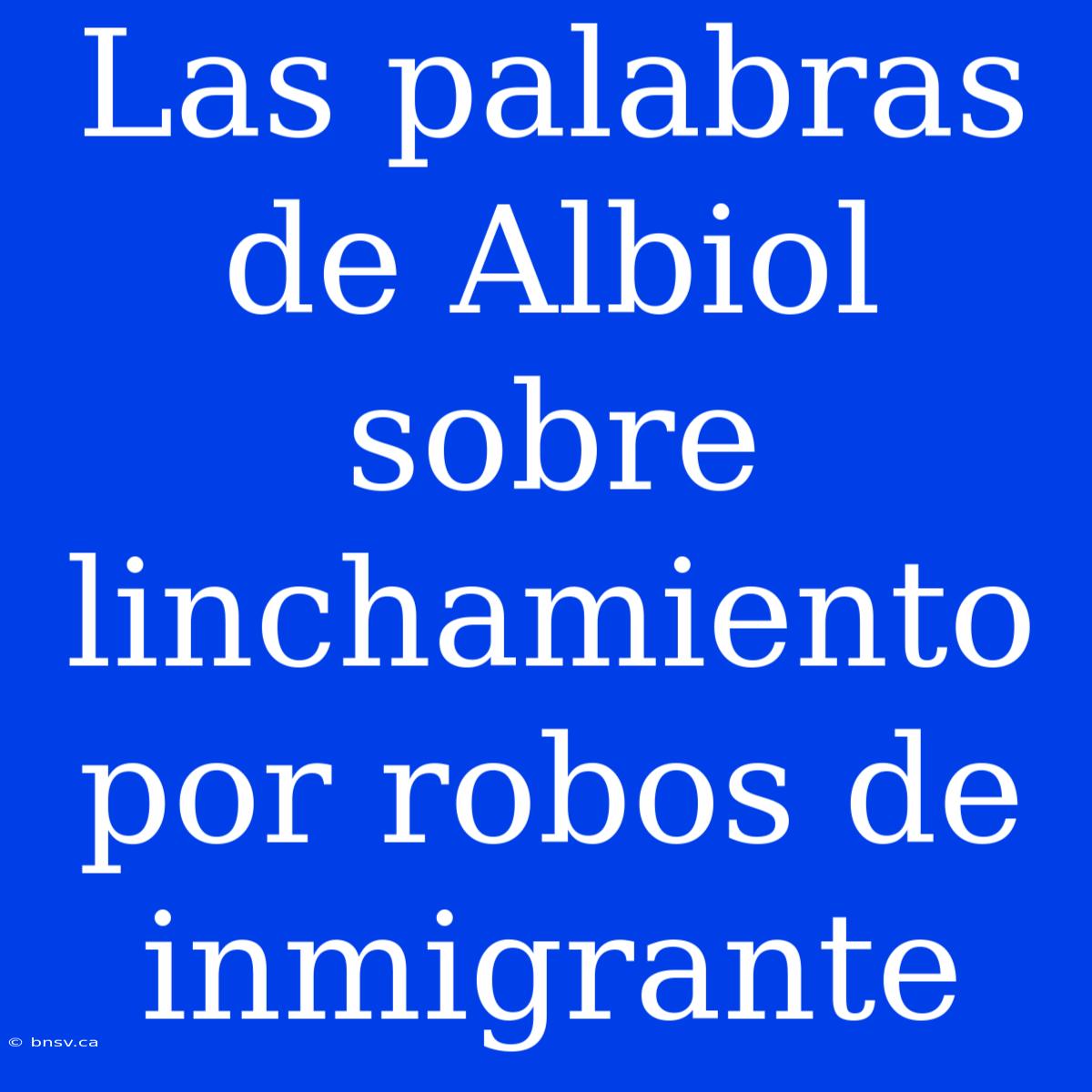 Las Palabras De Albiol Sobre Linchamiento Por Robos De Inmigrante