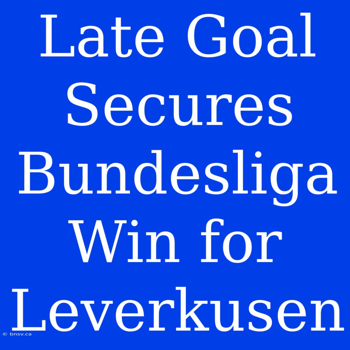 Late Goal Secures Bundesliga Win For Leverkusen