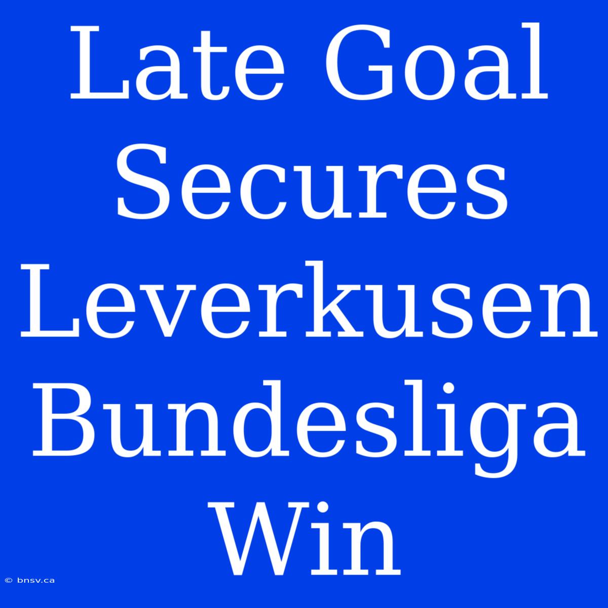 Late Goal Secures Leverkusen Bundesliga Win