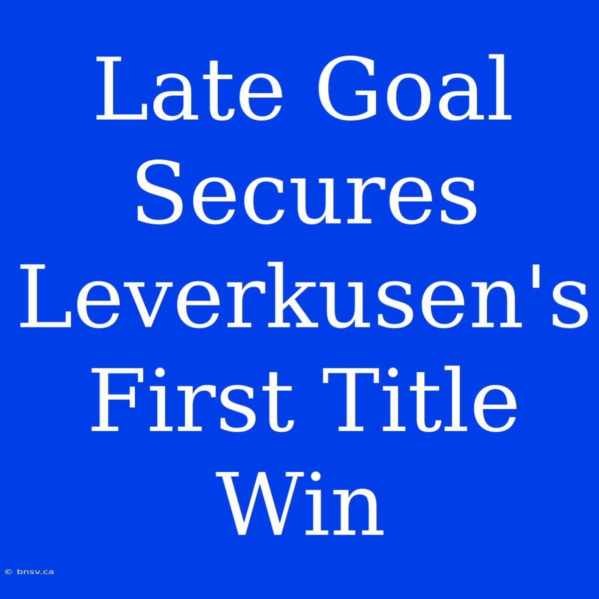 Late Goal Secures Leverkusen's First Title Win