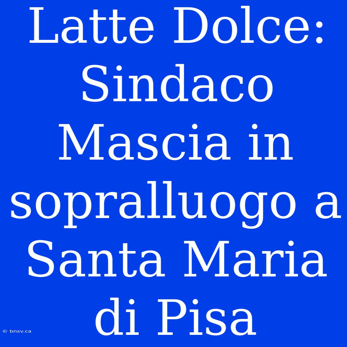 Latte Dolce: Sindaco Mascia In Sopralluogo A Santa Maria Di Pisa