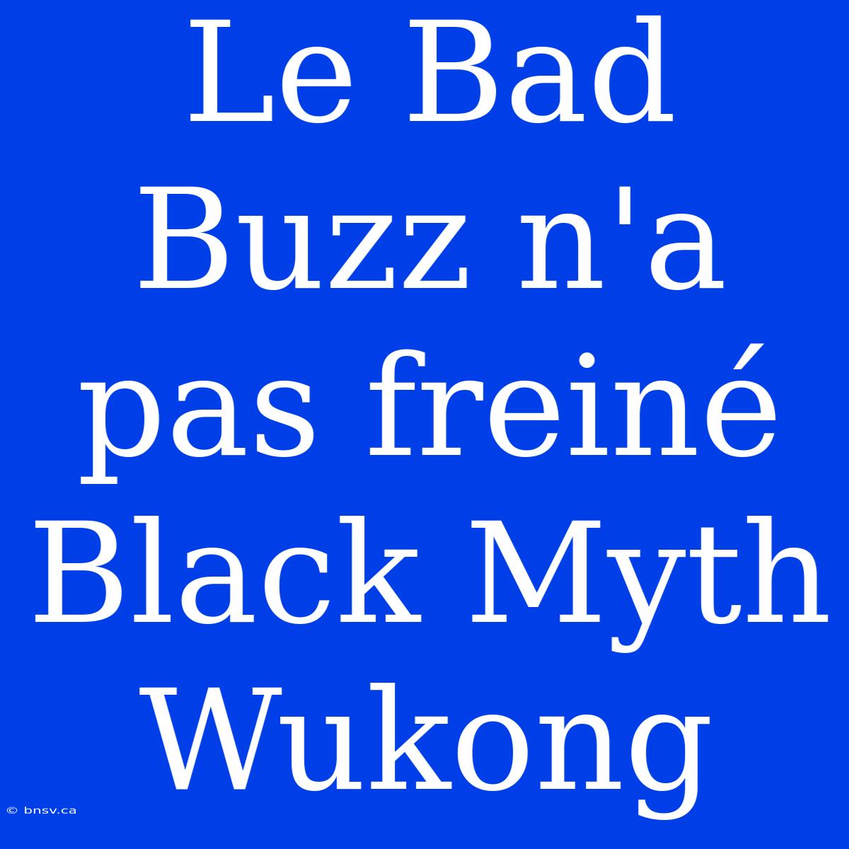 Le Bad Buzz N'a Pas Freiné Black Myth Wukong