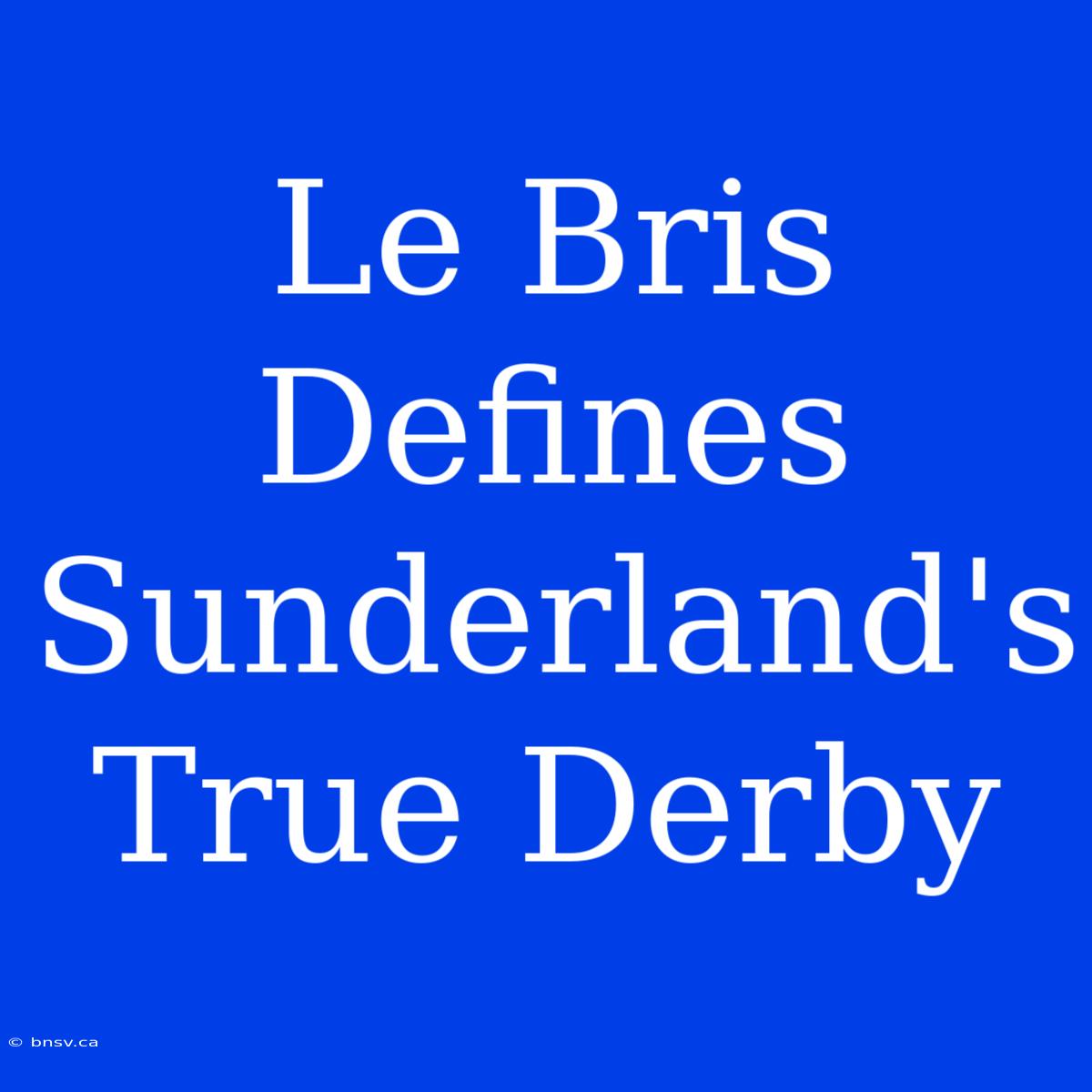 Le Bris Defines Sunderland's True Derby