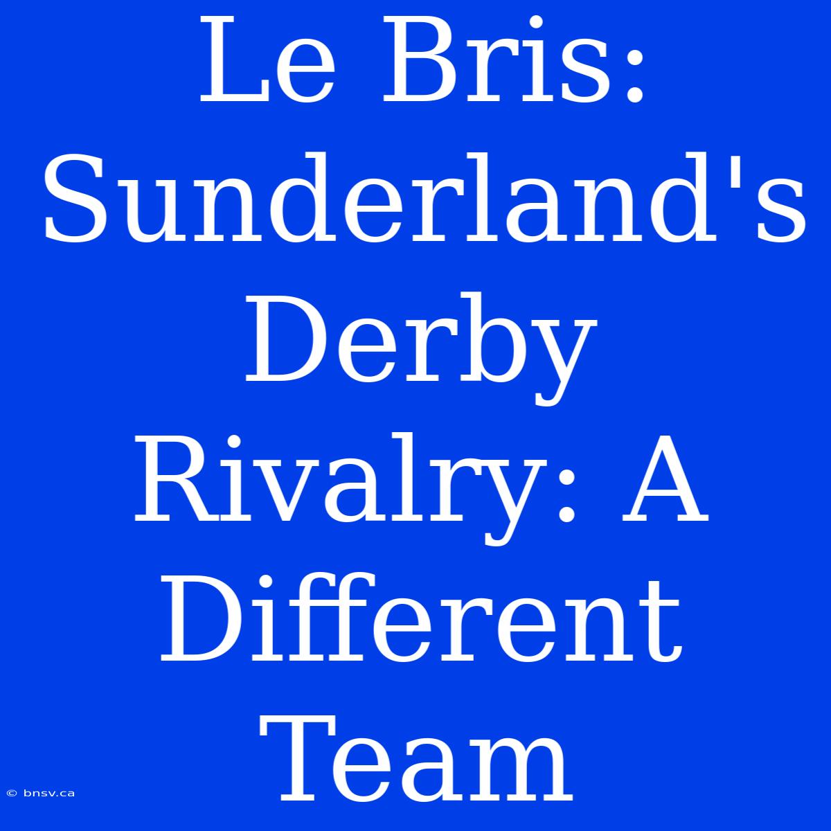 Le Bris: Sunderland's Derby Rivalry: A Different Team