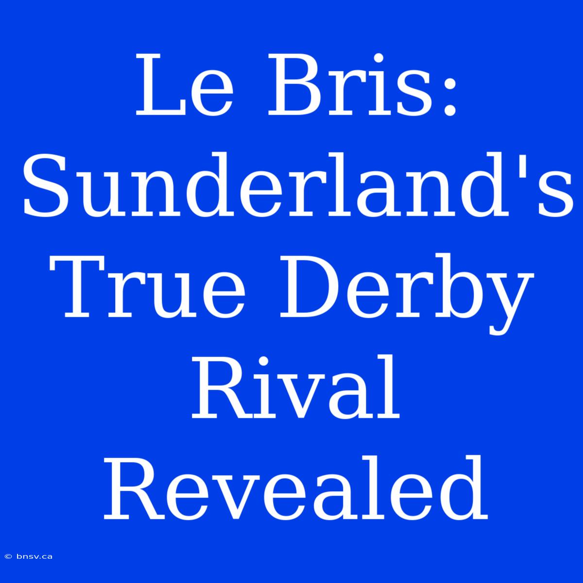 Le Bris: Sunderland's True Derby Rival Revealed