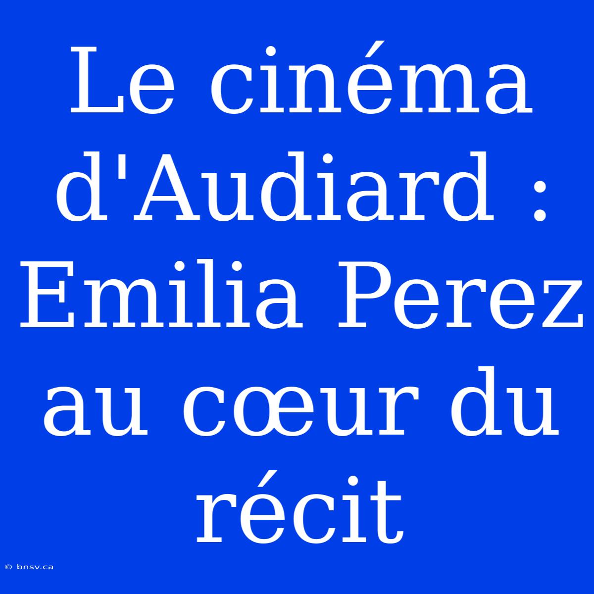 Le Cinéma D'Audiard : Emilia Perez Au Cœur Du Récit