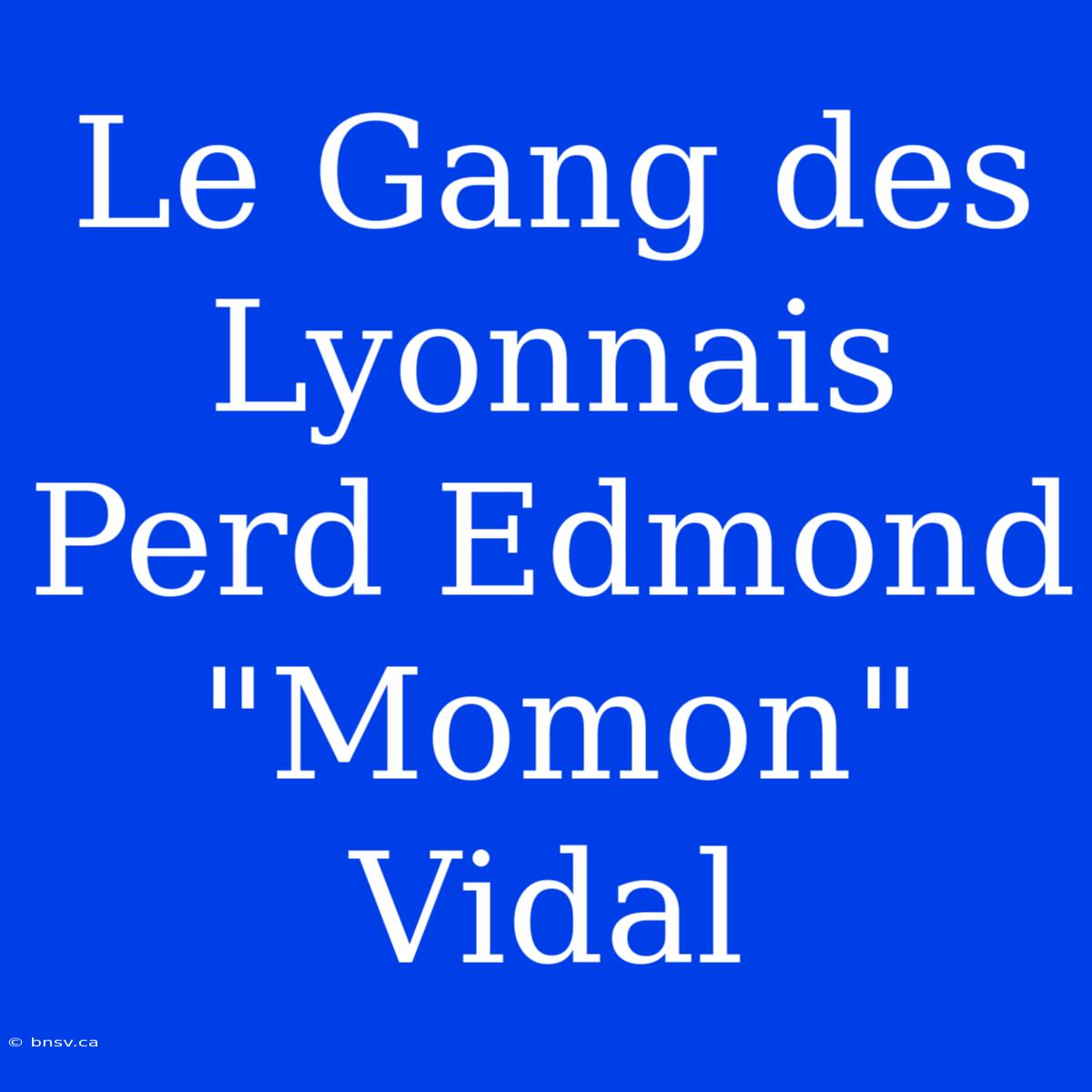 Le Gang Des Lyonnais Perd Edmond 