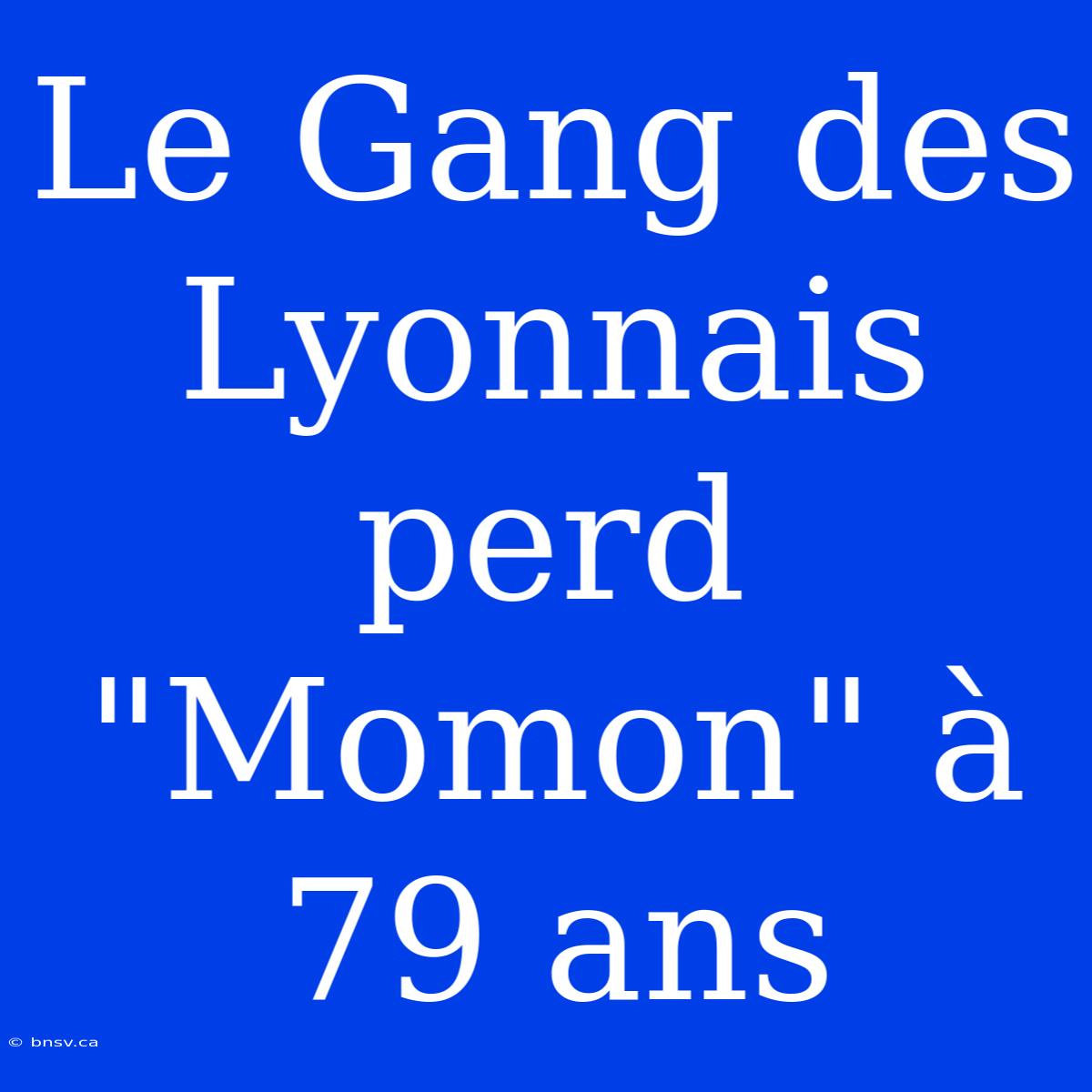 Le Gang Des Lyonnais Perd 