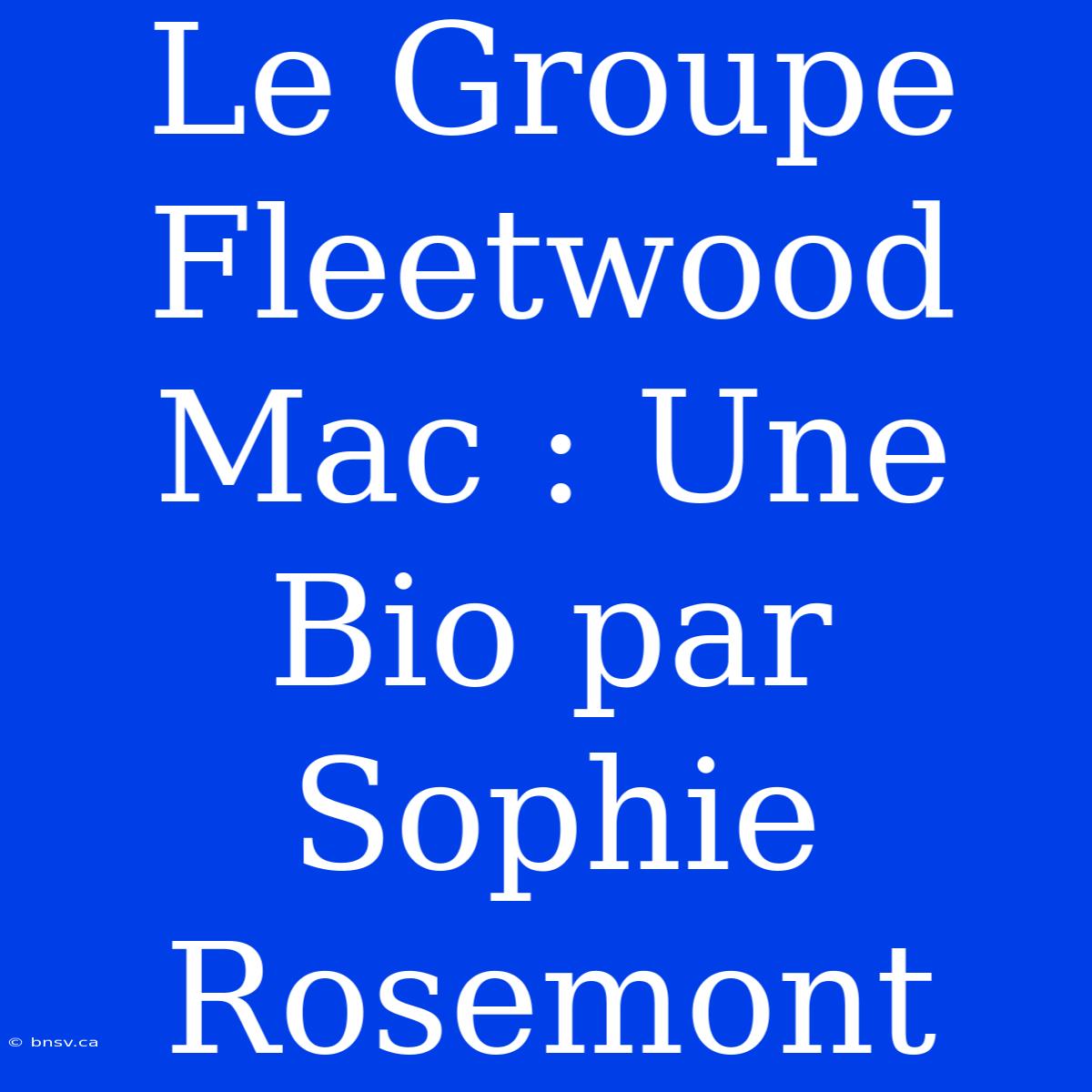 Le Groupe Fleetwood Mac : Une Bio Par Sophie Rosemont