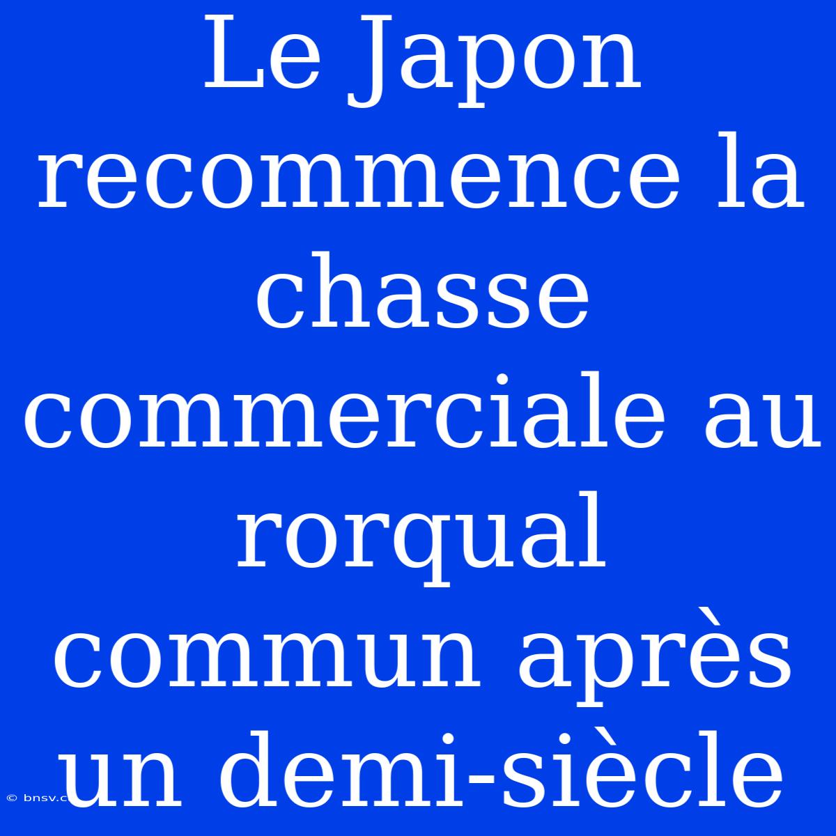 Le Japon Recommence La Chasse Commerciale Au Rorqual Commun Après Un Demi-siècle