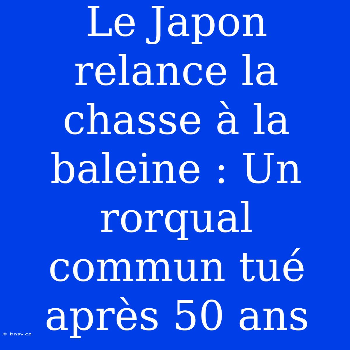 Le Japon Relance La Chasse À La Baleine : Un Rorqual Commun Tué Après 50 Ans