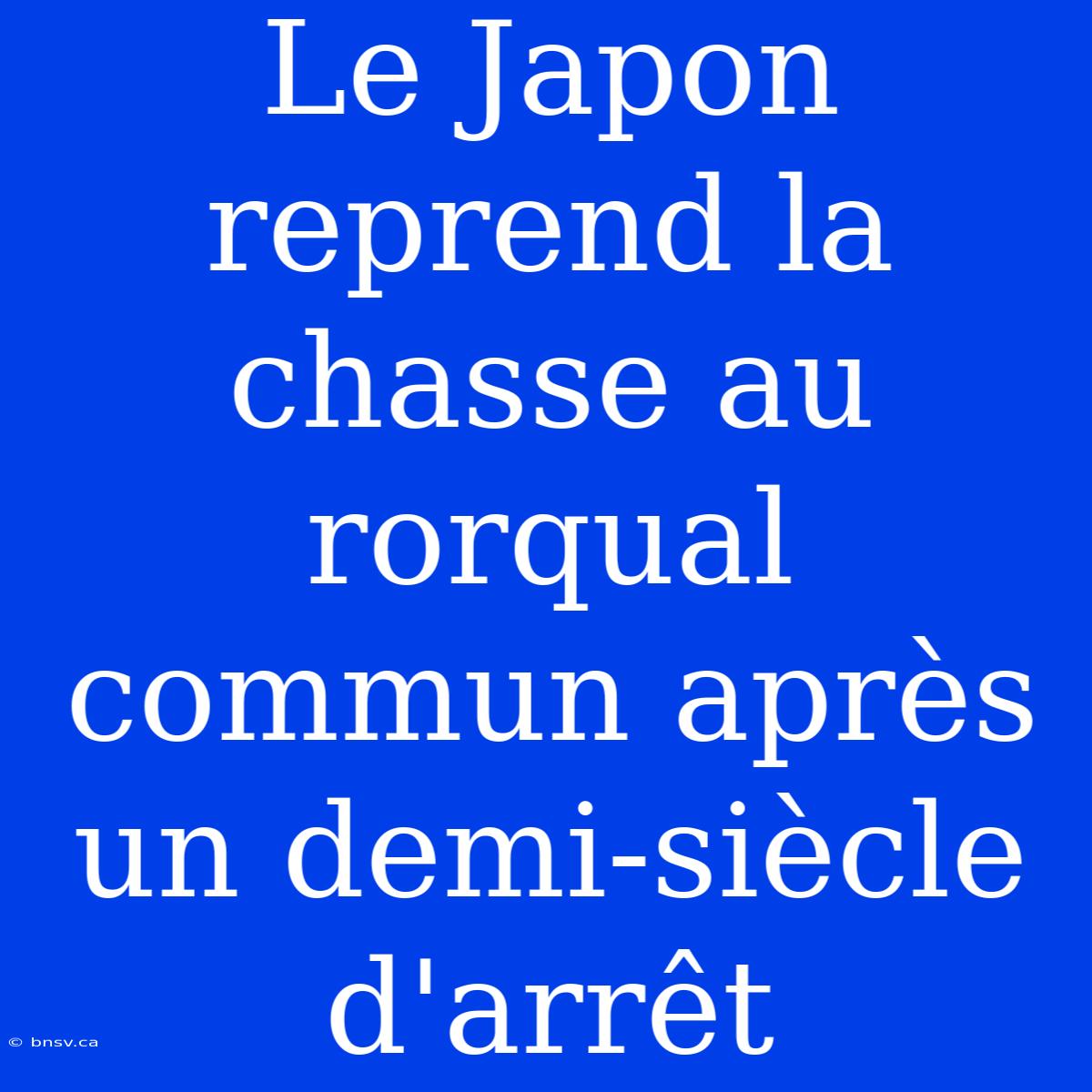 Le Japon Reprend La Chasse Au Rorqual Commun Après Un Demi-siècle D'arrêt