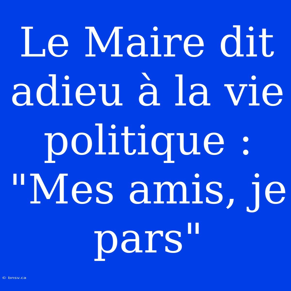 Le Maire Dit Adieu À La Vie Politique : 