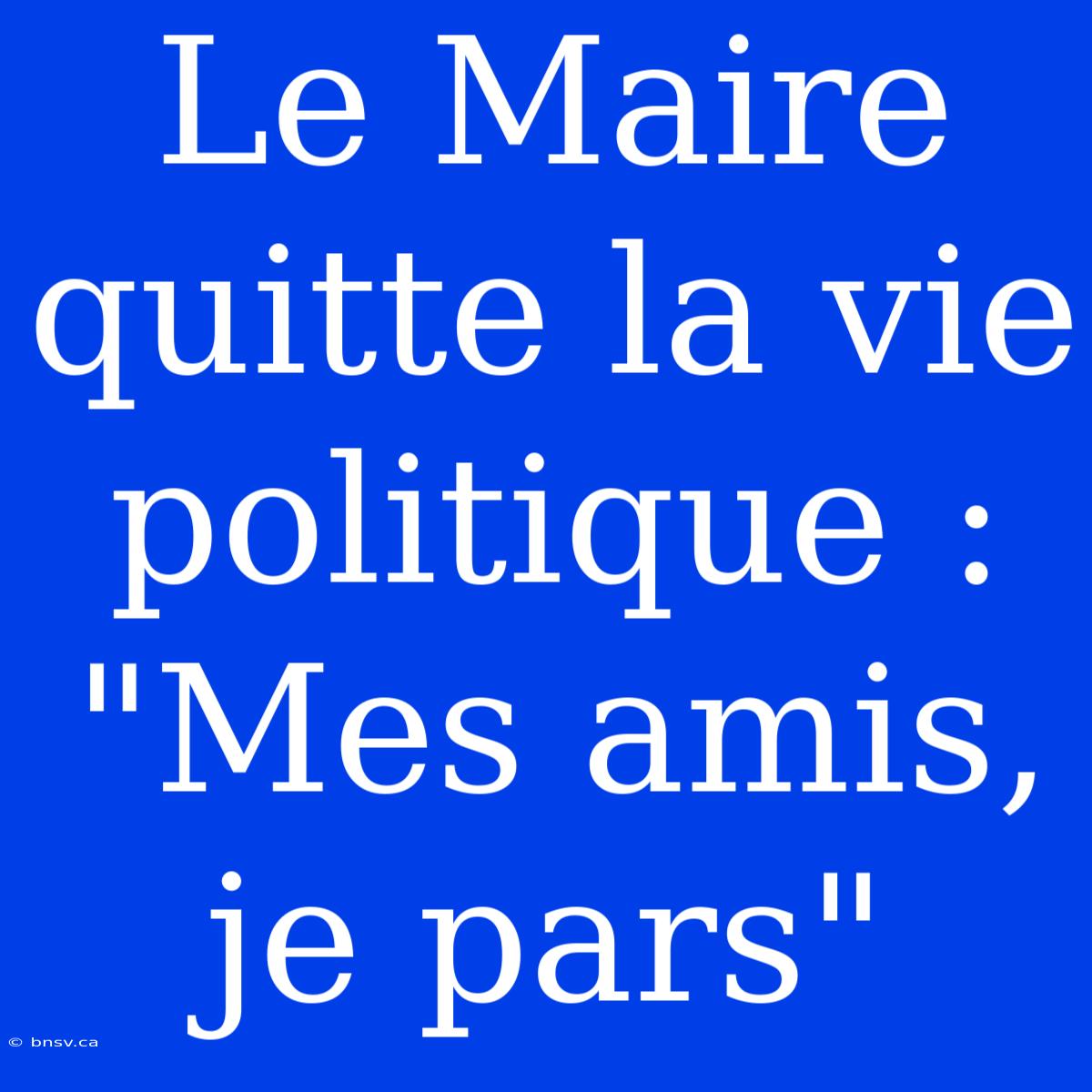 Le Maire Quitte La Vie Politique : 