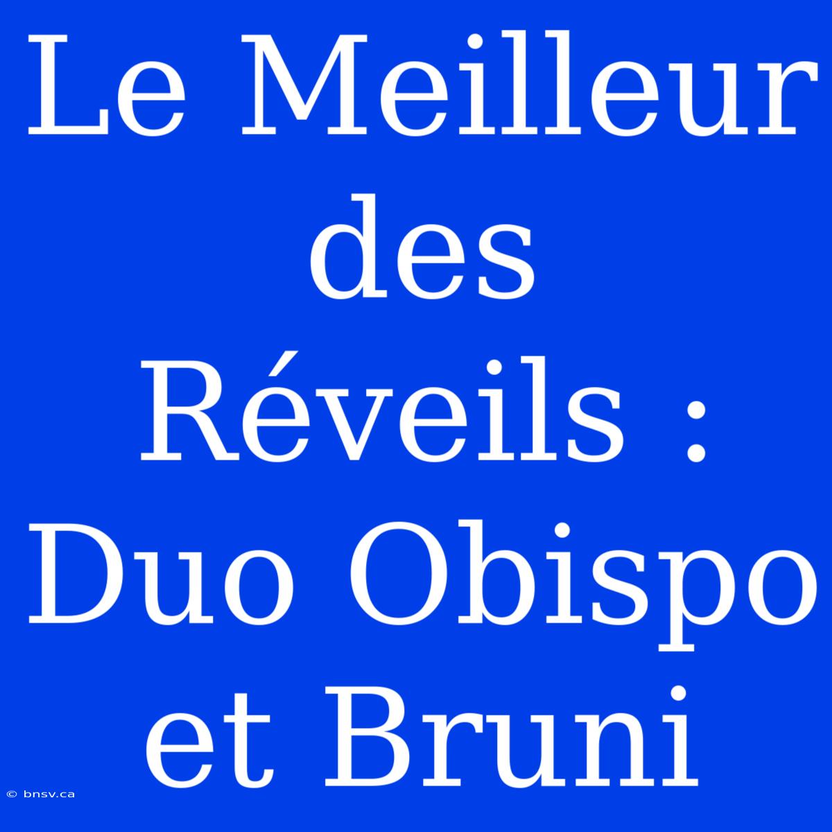 Le Meilleur Des Réveils : Duo Obispo Et Bruni