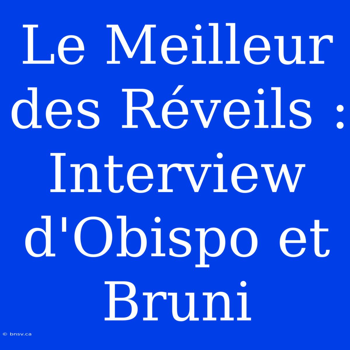 Le Meilleur Des Réveils : Interview D'Obispo Et Bruni