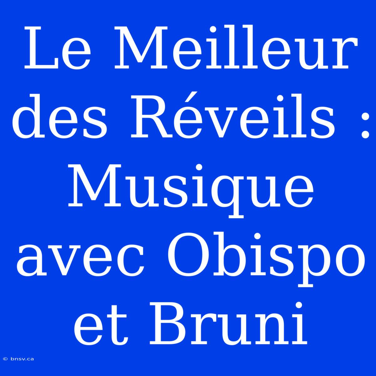 Le Meilleur Des Réveils : Musique Avec Obispo Et Bruni