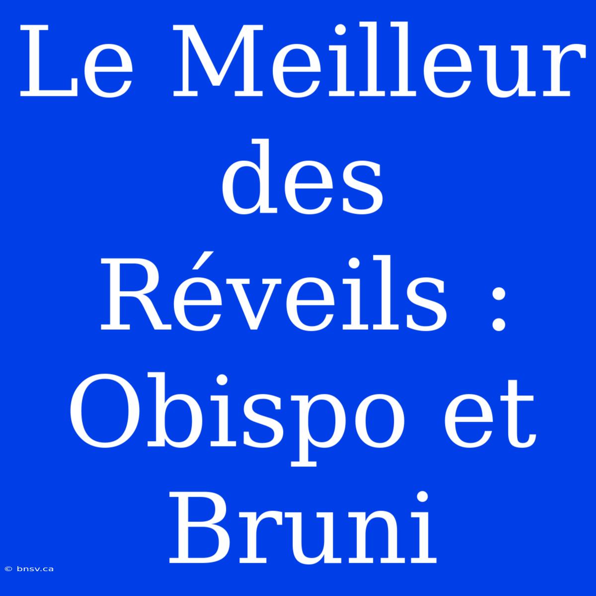 Le Meilleur Des Réveils : Obispo Et Bruni