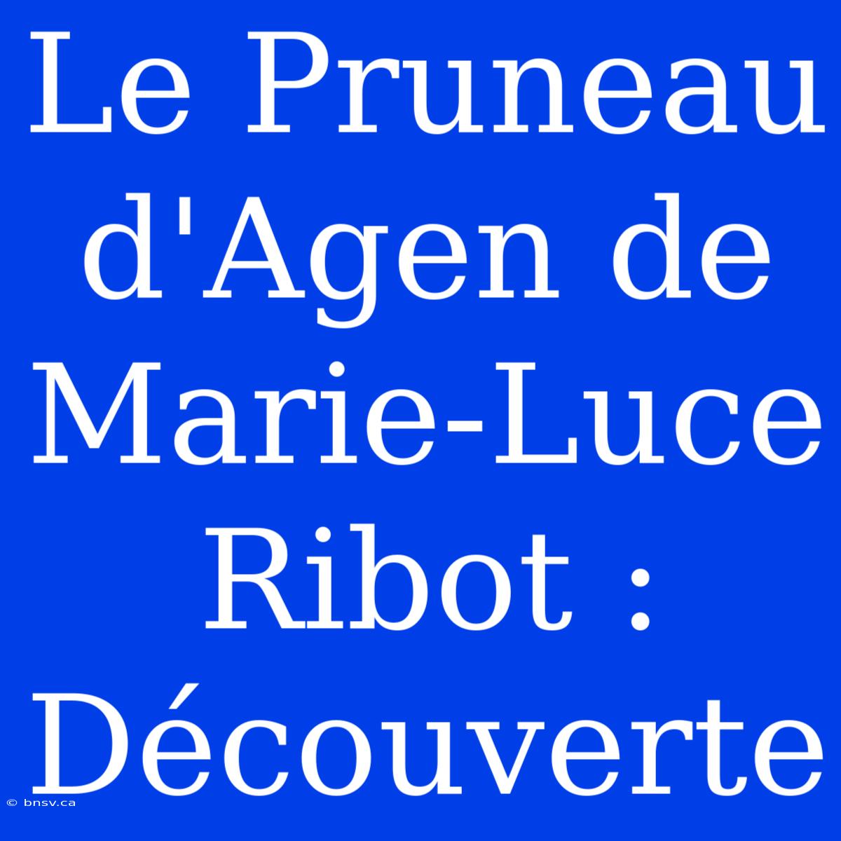 Le Pruneau D'Agen De Marie-Luce Ribot : Découverte