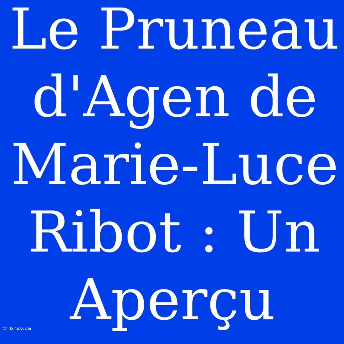 Le Pruneau D'Agen De Marie-Luce Ribot : Un Aperçu