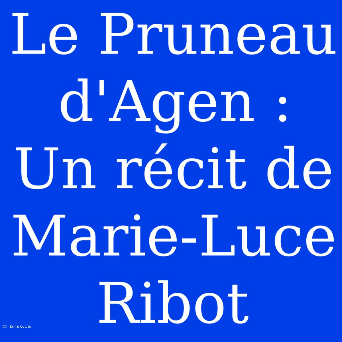 Le Pruneau D'Agen : Un Récit De Marie-Luce Ribot