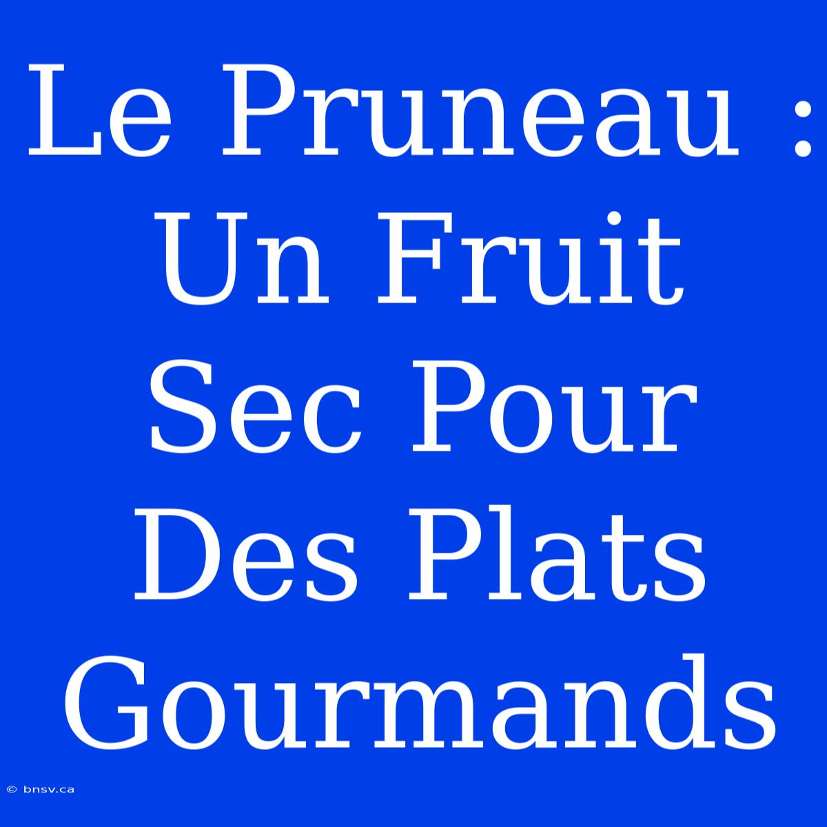 Le Pruneau : Un Fruit Sec Pour Des Plats Gourmands