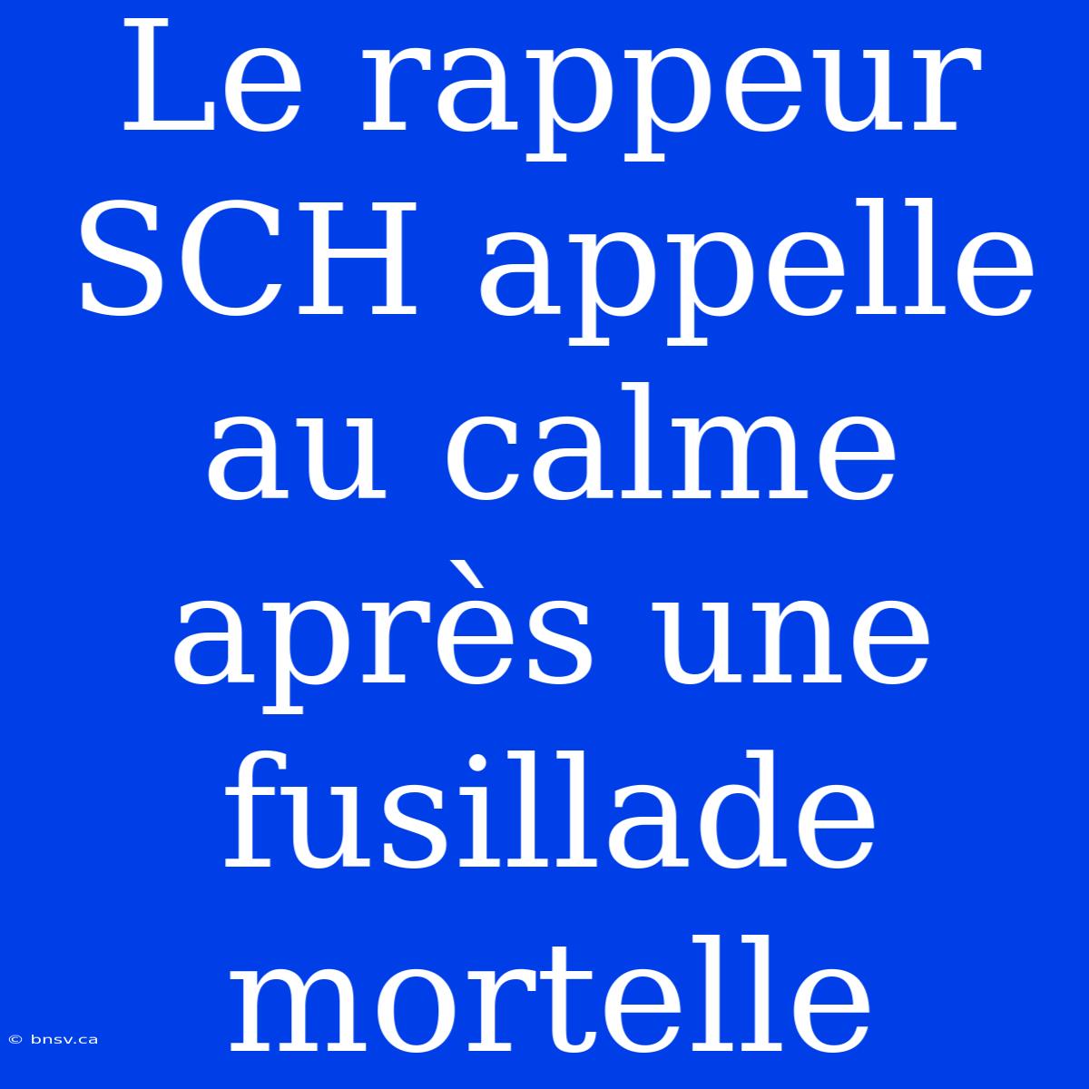 Le Rappeur SCH Appelle Au Calme Après Une Fusillade Mortelle