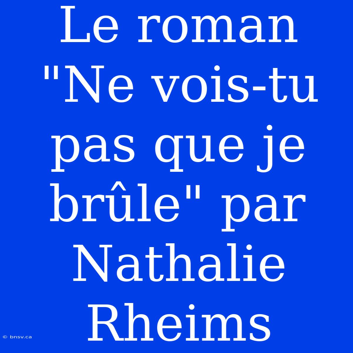 Le Roman 