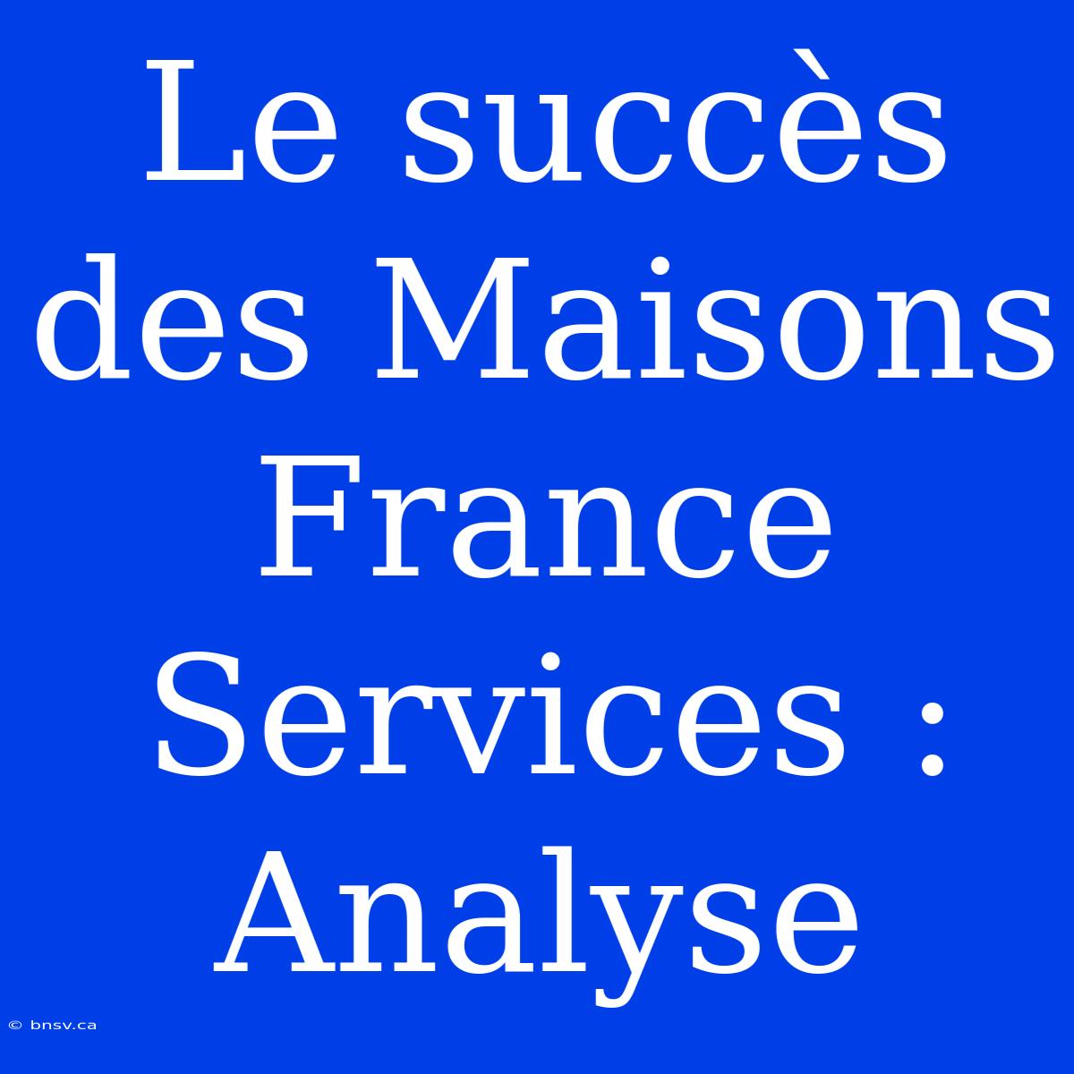 Le Succès Des Maisons France Services : Analyse