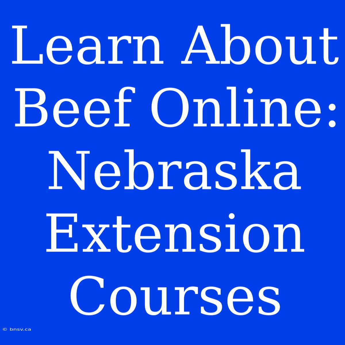 Learn About Beef Online: Nebraska Extension Courses