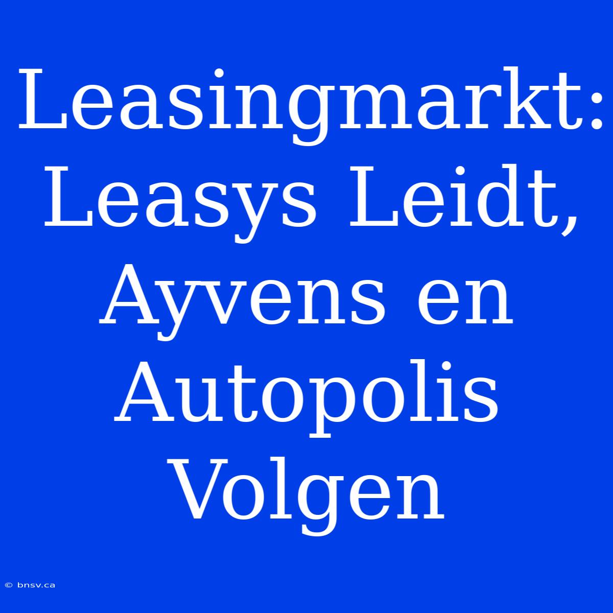 Leasingmarkt: Leasys Leidt, Ayvens En Autopolis Volgen