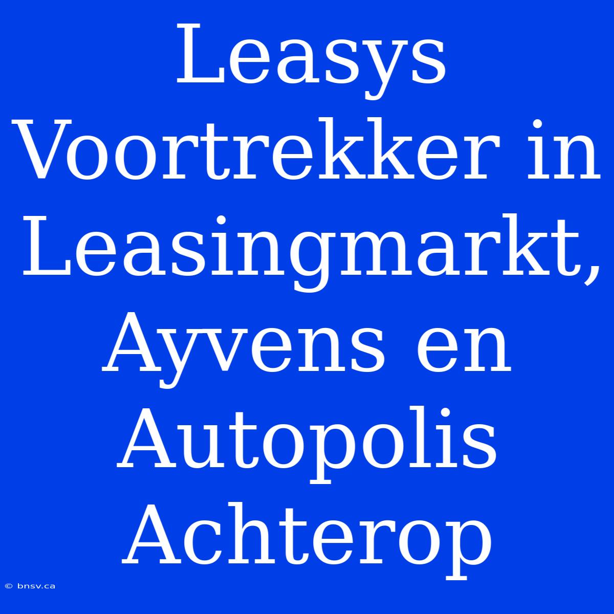 Leasys Voortrekker In Leasingmarkt, Ayvens En Autopolis Achterop