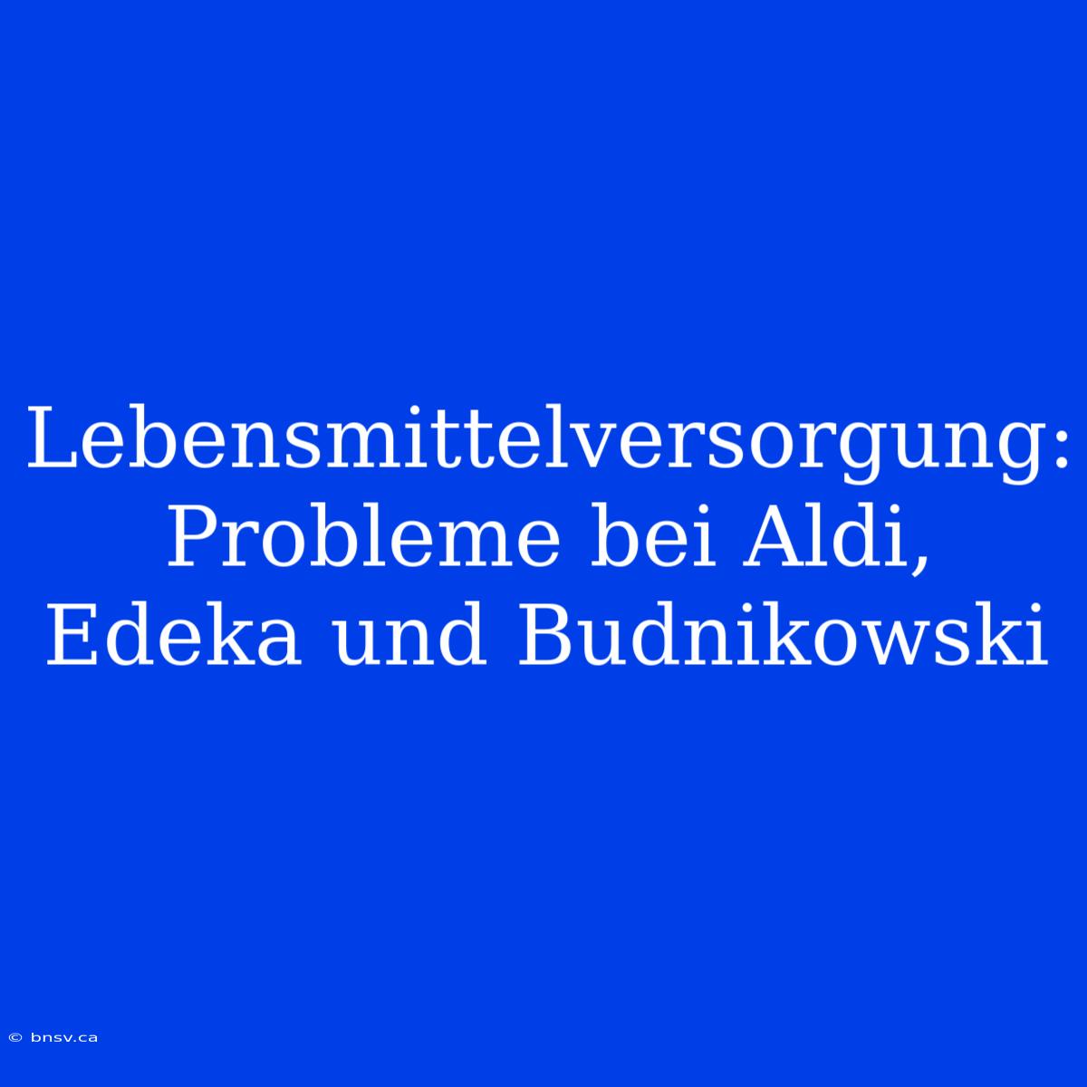 Lebensmittelversorgung: Probleme Bei Aldi, Edeka Und Budnikowski