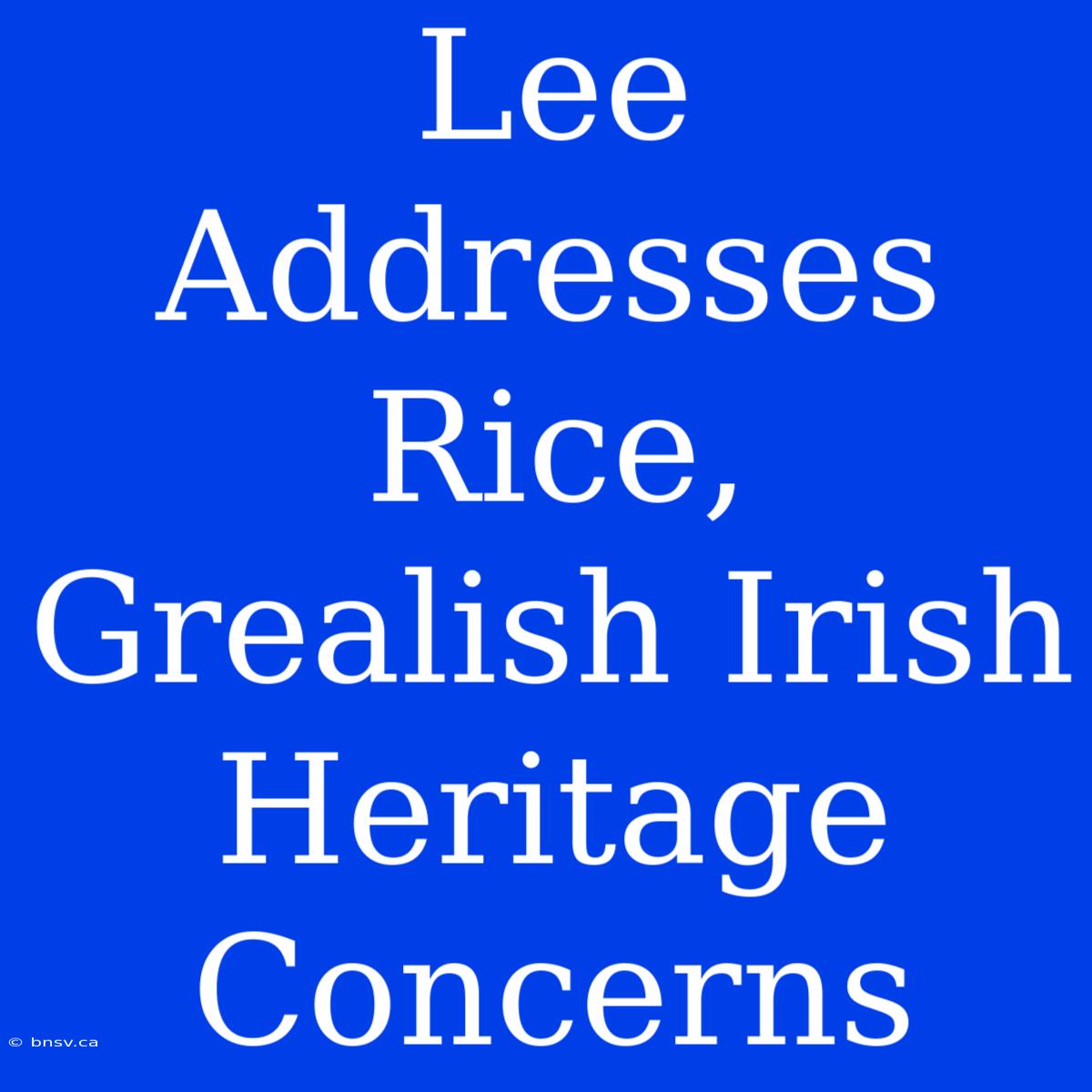 Lee Addresses Rice, Grealish Irish Heritage Concerns