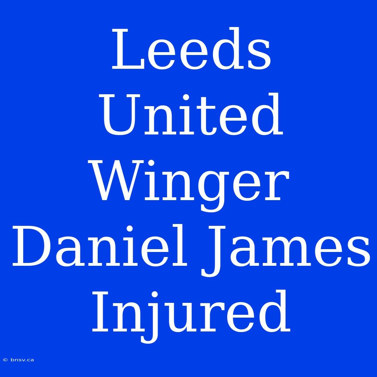 Leeds United Winger Daniel James Injured